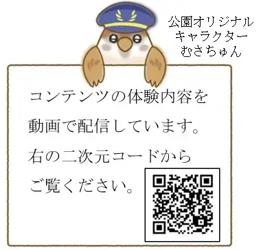 ar-youtube-qr