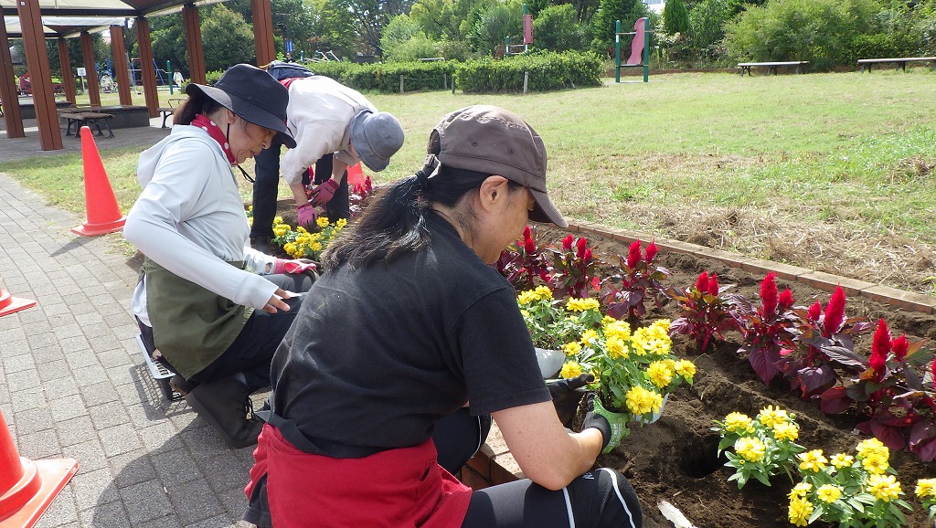 ボランティアとの花壇作成の様子