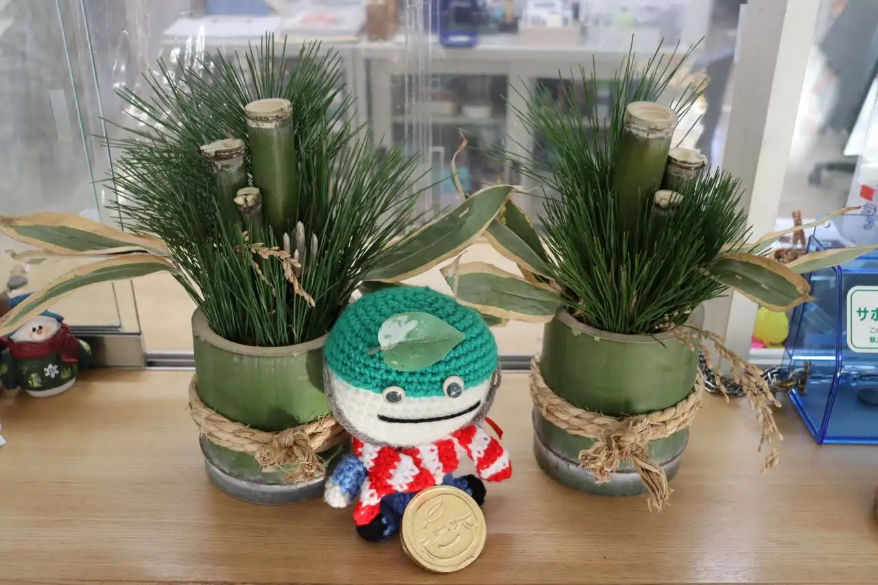 IMG_0677