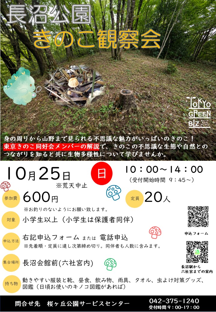 ※コメント確認のうえ校了※【作成中】 261025長沼公園きのこ観察会チラシ - コピー