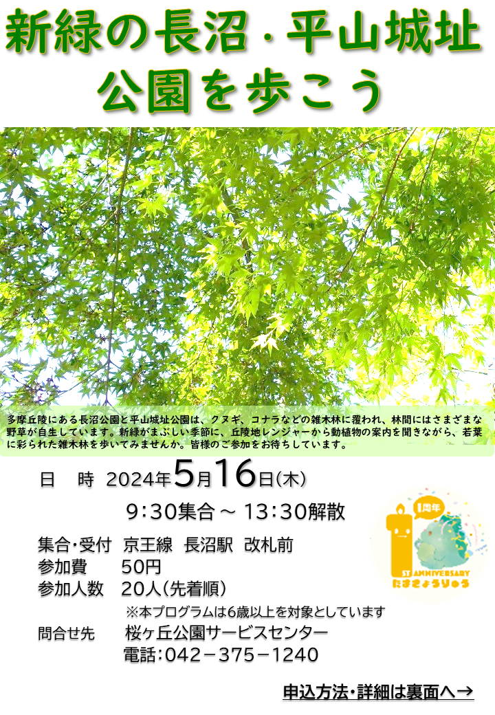 【チラシ】 新緑の長沼・平山城址公園を歩こう（表）