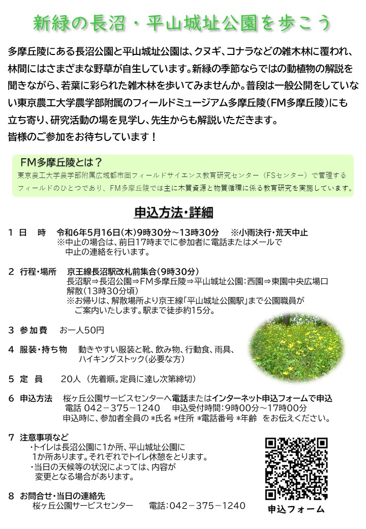 【チラシ】 新緑の長沼・平山城址公園を歩こう（裏）