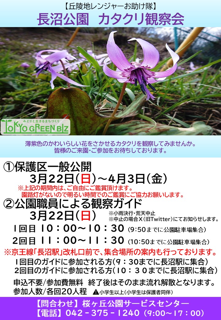 【校了】カタクリ観察会ポスター26322 - コピー