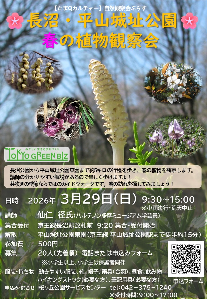 【校了】ポスター　260329開催【長沼・平山城址公園春の植物観察会】