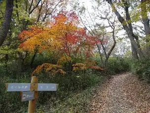 211111平山城址公園_02