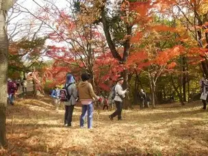221118紅葉の長平 (5)_01