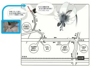 長沼公園地図修正①_01