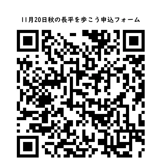 1_1120_QR_mousikomi_foam_01