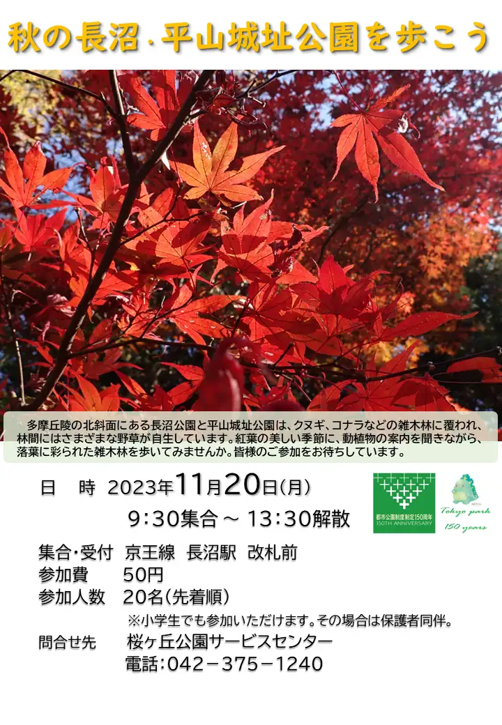 HP_autumn_nagahirayama_05