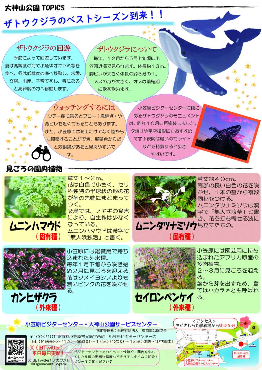 R06.02ニュースレター(裏)