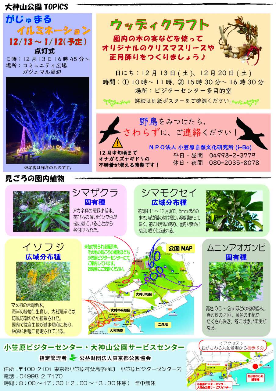 R07.12ニュースレター(裏)