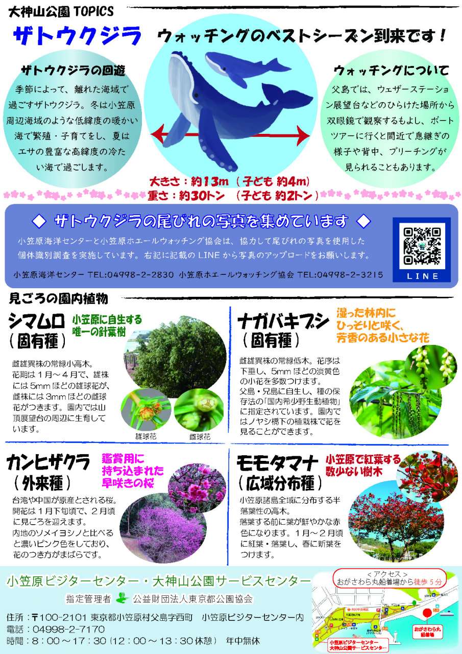 R08.2ニュースレター(裏)