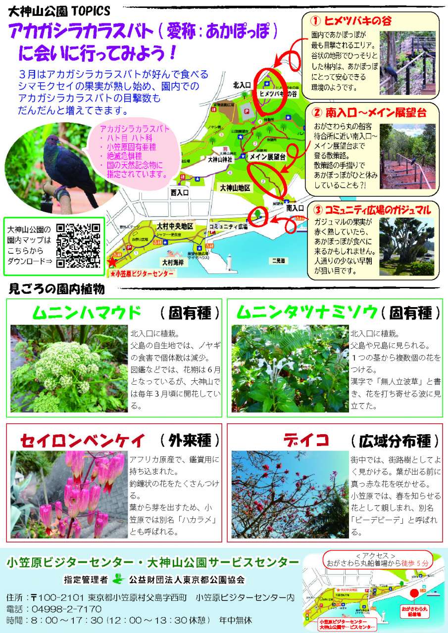 R08.3ニュースレター(裏)