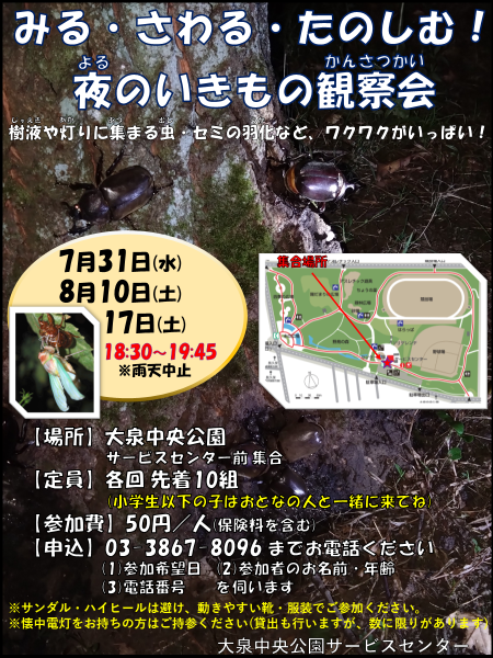夜のいきもの観察会チラシ