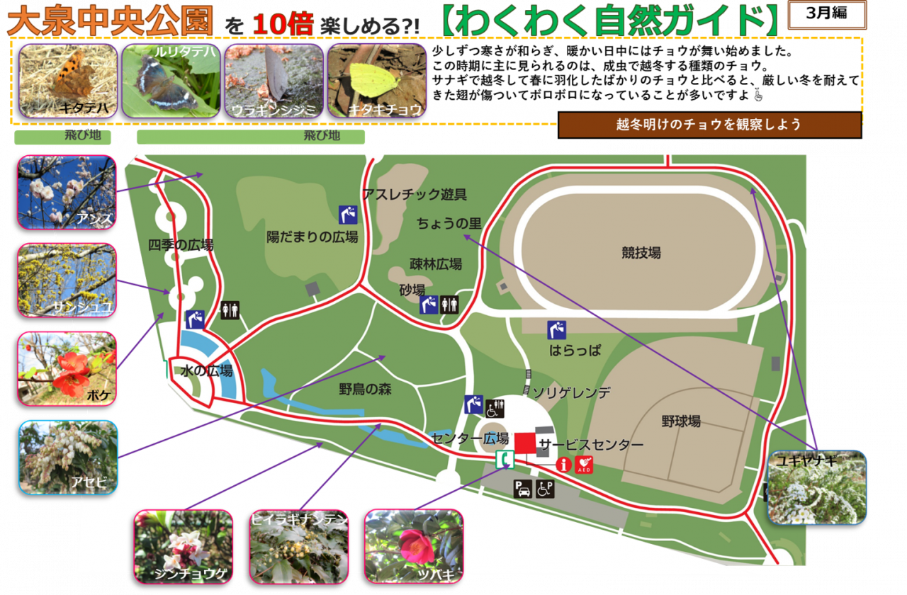 2403編画像