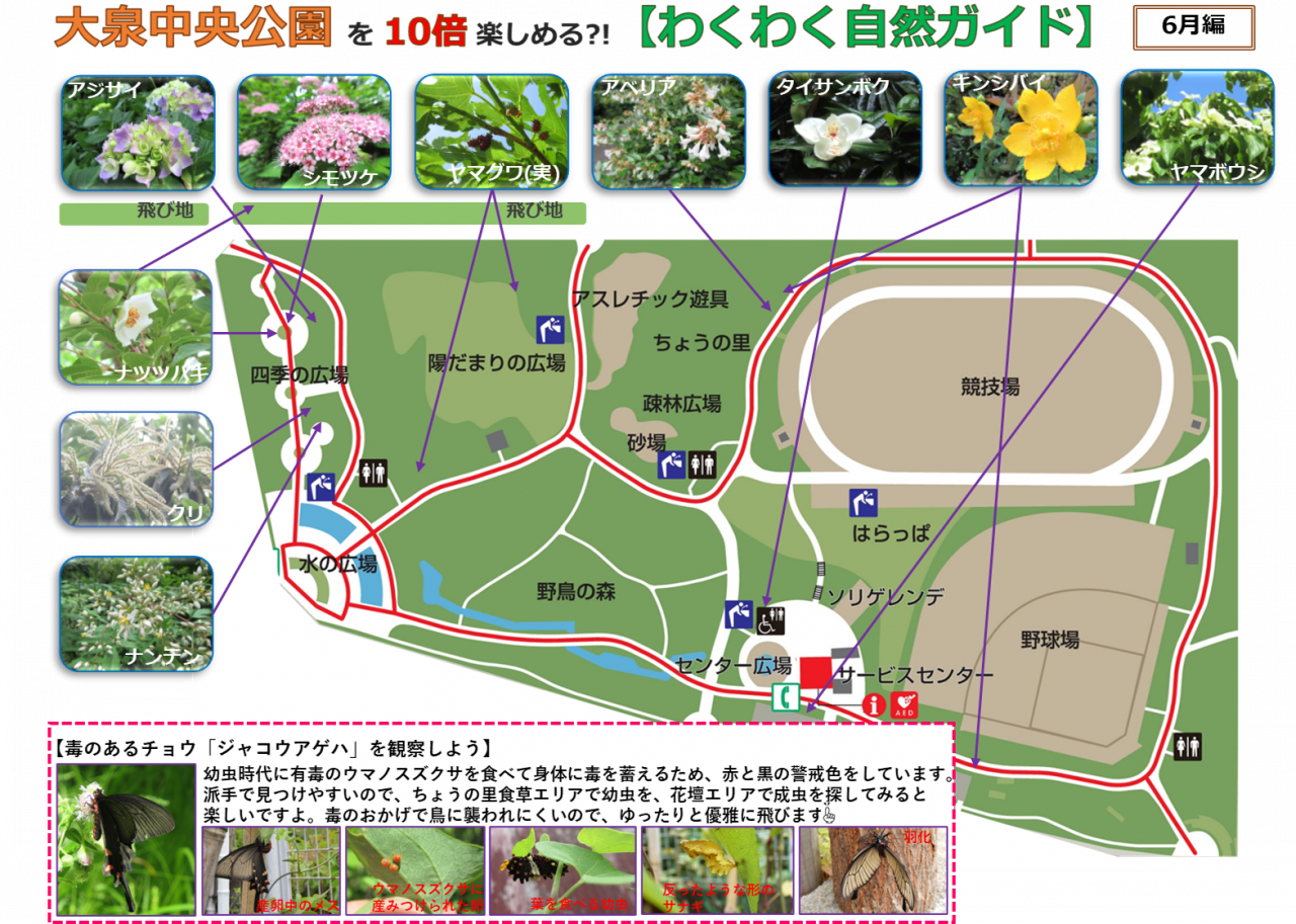 2406①編画像