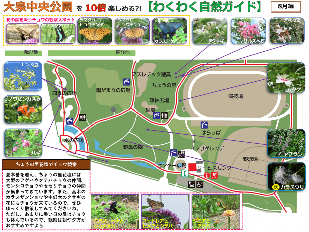 2408編画像