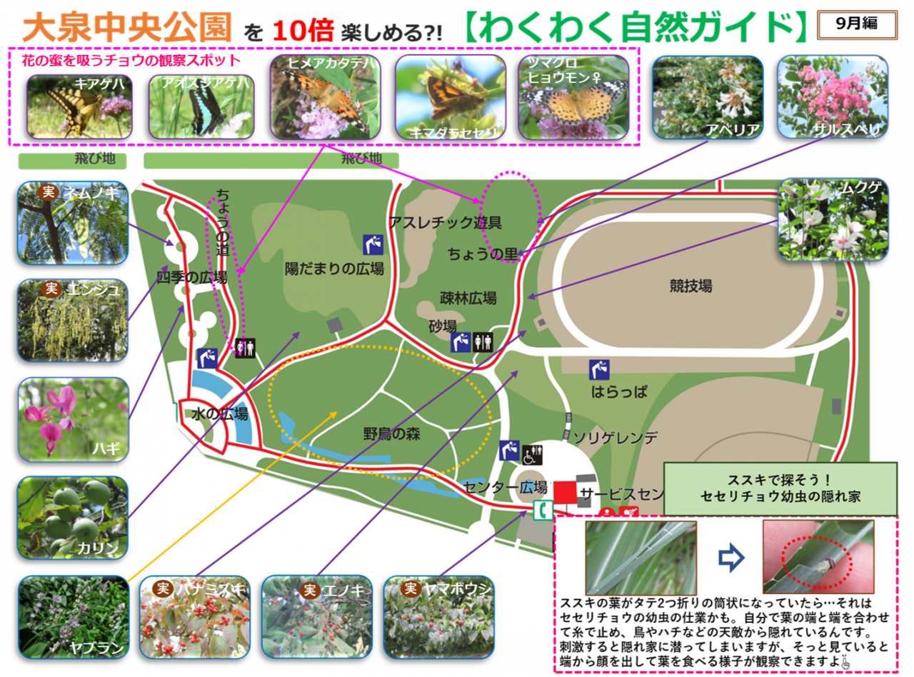 2409編画像