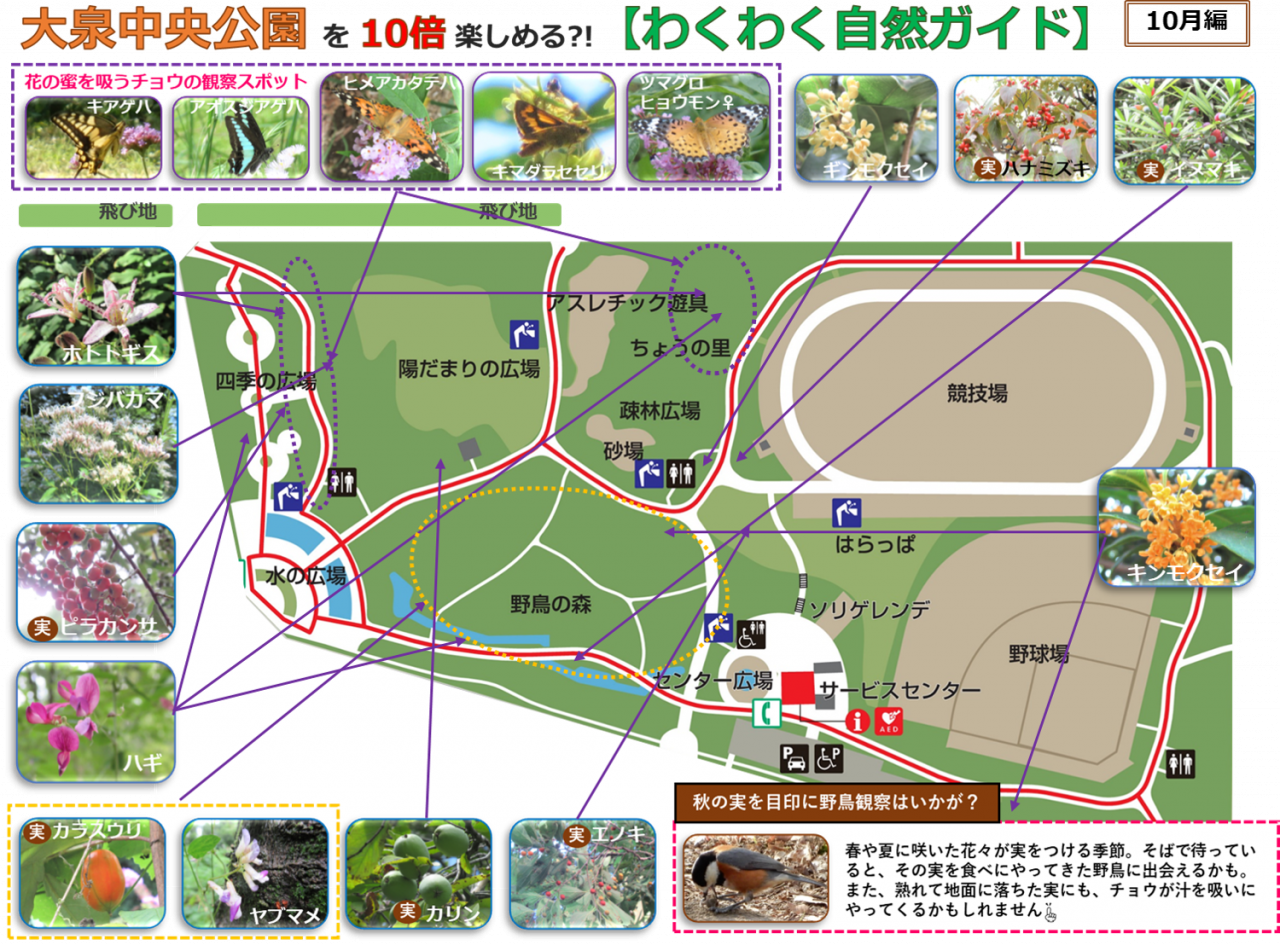 2410編画像