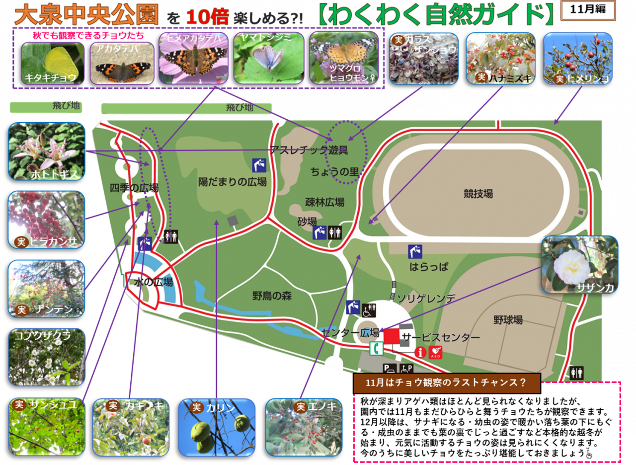 2411編画像