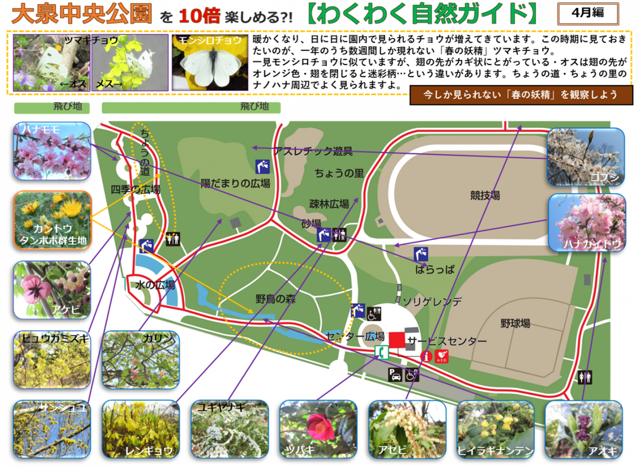 2404①編画像