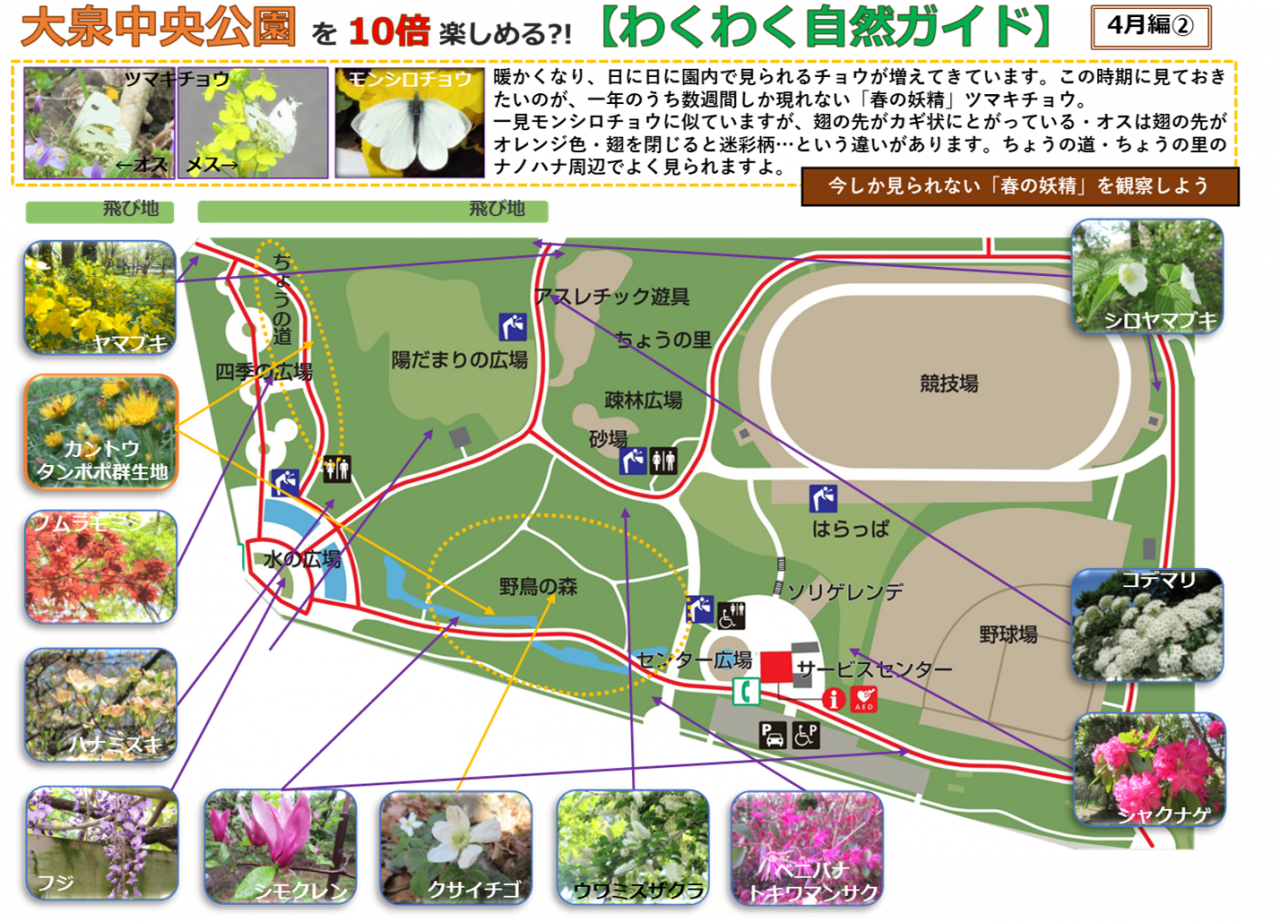 2404②編画像