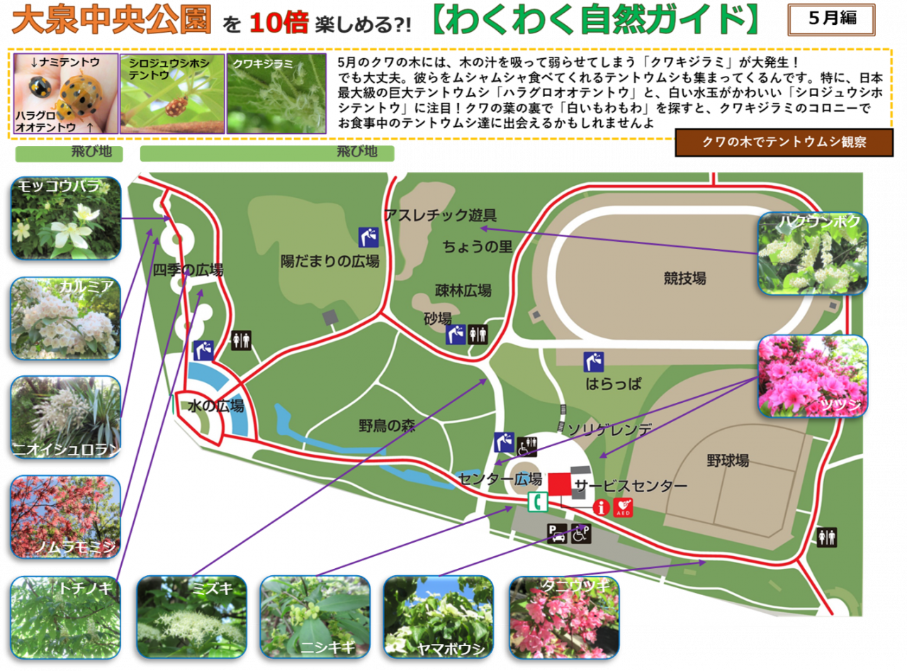 2404②編画像
