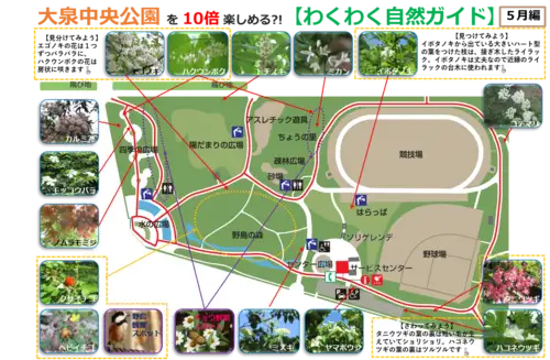 5月編画像_05