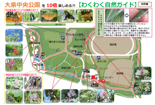 8月編画像_05