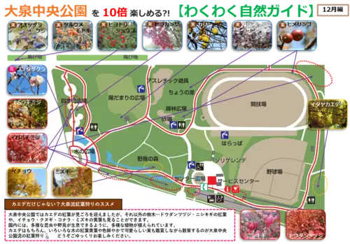 12月編画像_05