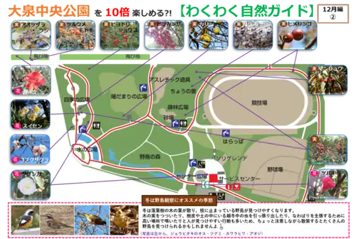 12月編画像②_05