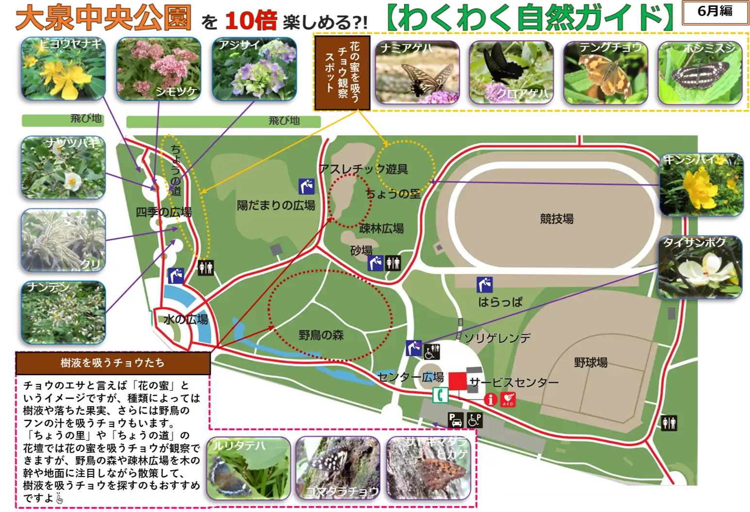 2306map_05