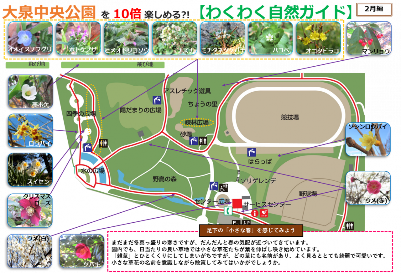 2402編画像