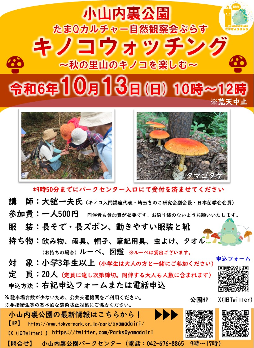 ※校了※■秋のキノコ観察会ポスター