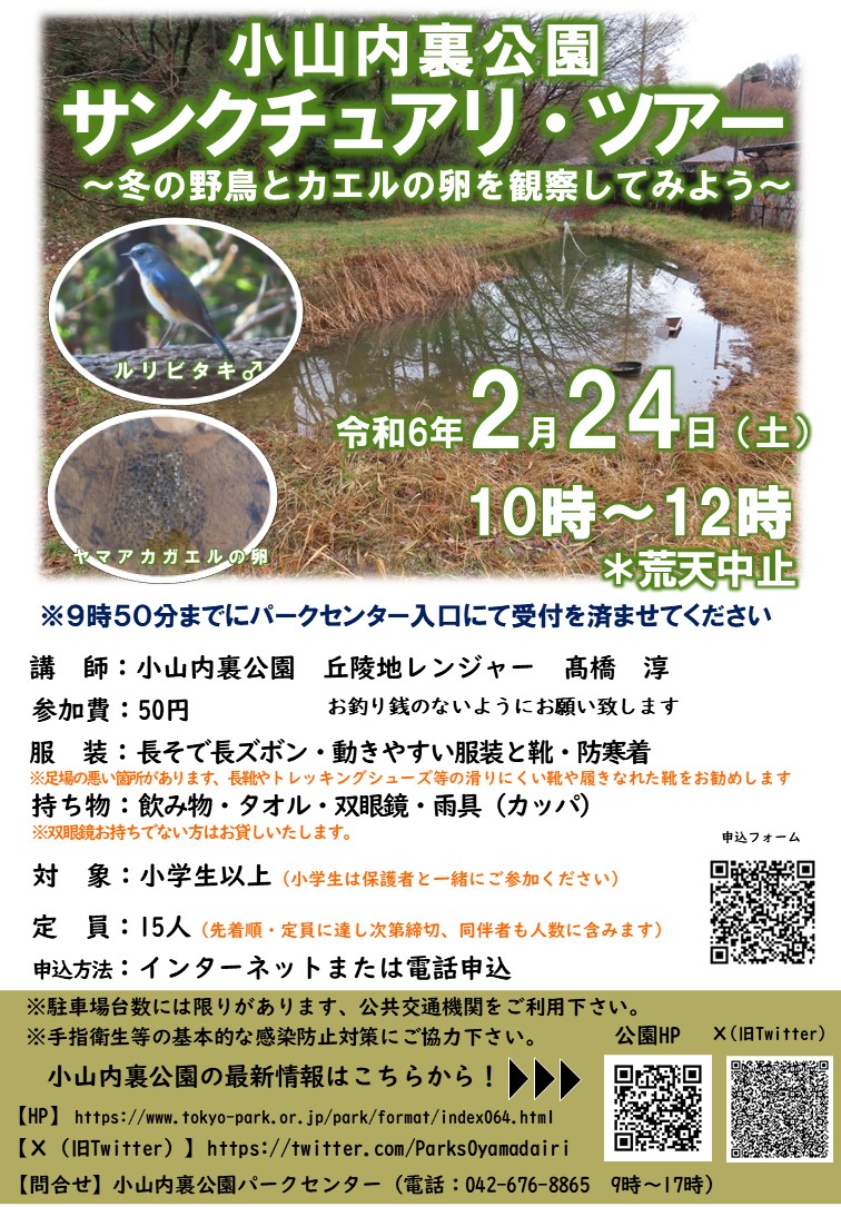 ■240224サンクツアーちらし【髙橋修正】