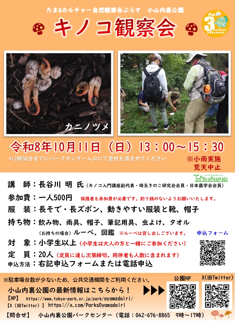 【初稿】■キノコ観察会ポスター