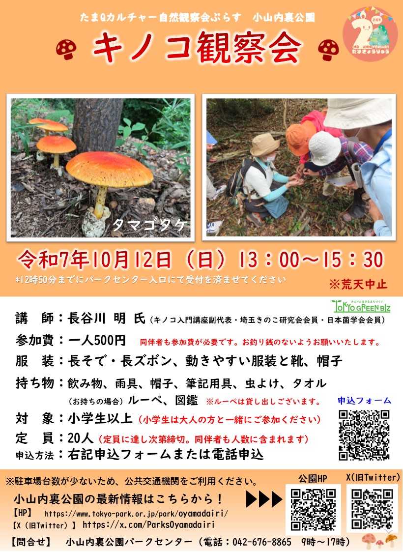 【校了】■秋のキノコ観察会ポスター