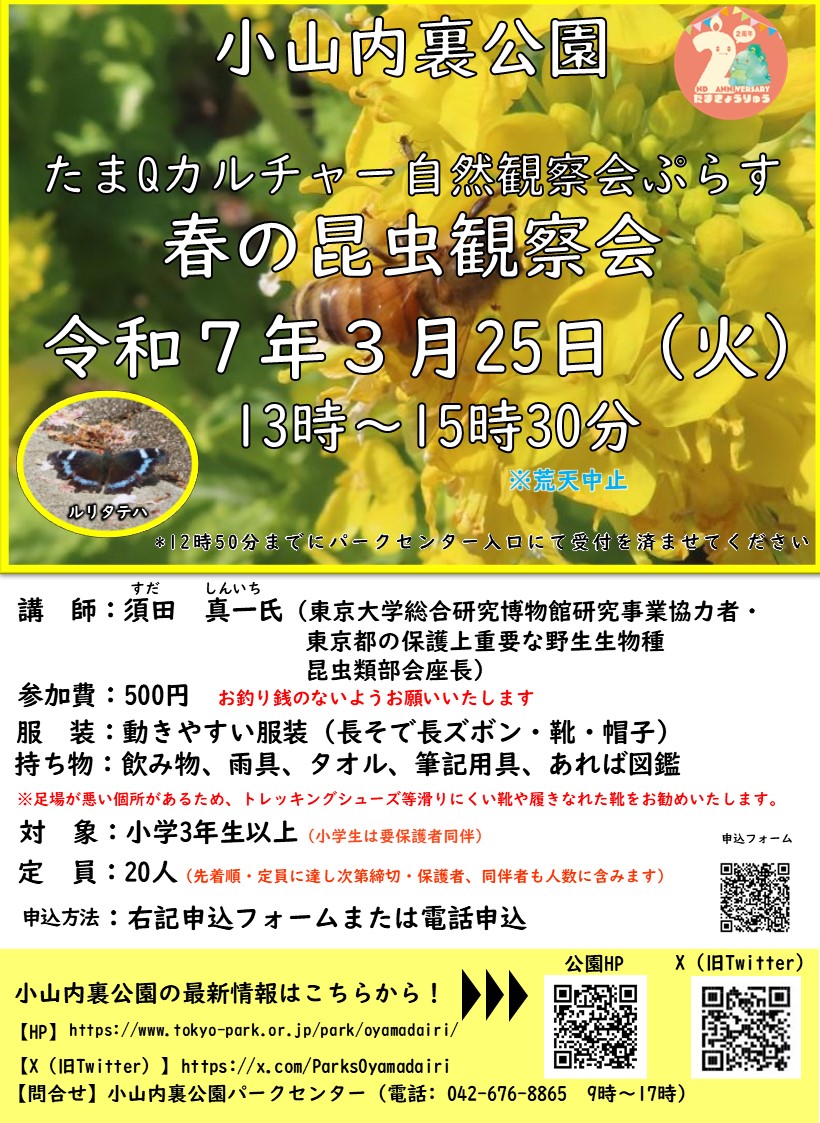 【校了】昆虫観察会ポスター
