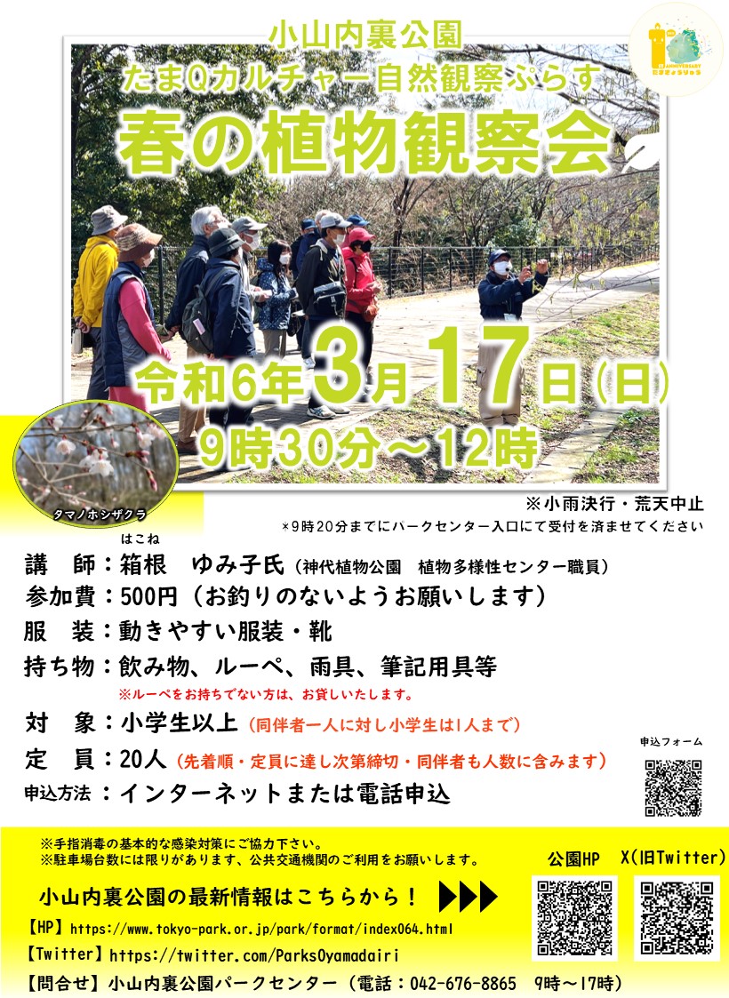 【校了】春の植物観察会ポスター