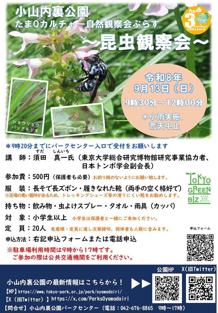 【校了】260913昆虫観察会ポスター案 