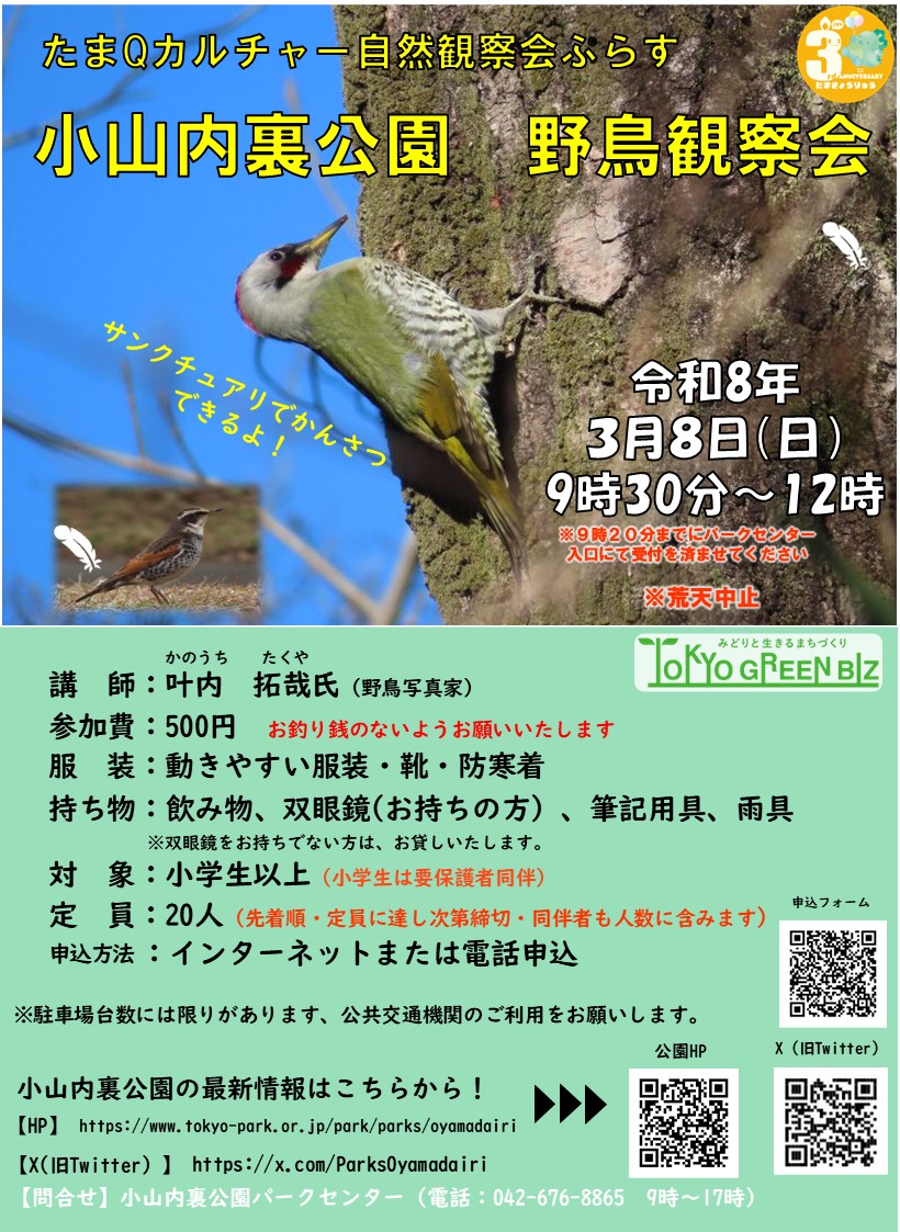【申込QR入り】野鳥観察会ポスター
