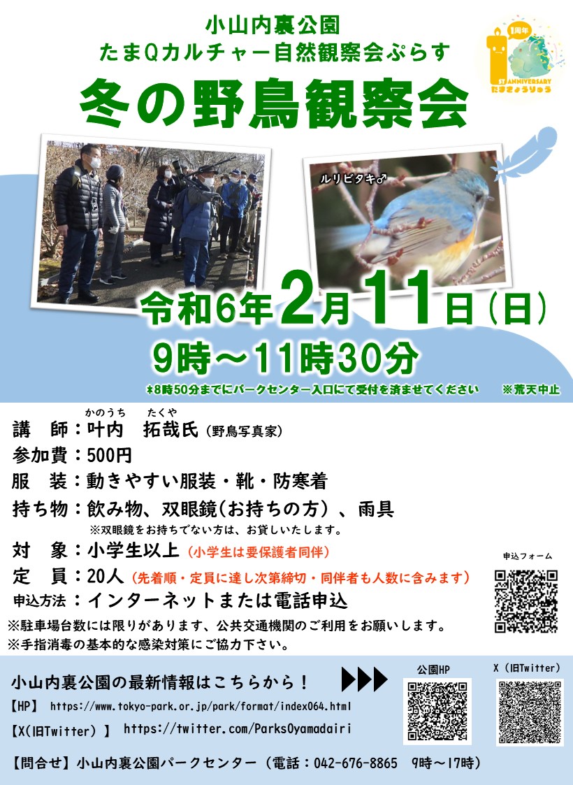【確定】冬の野鳥観察会ポスター最新_三浦・遠藤修正