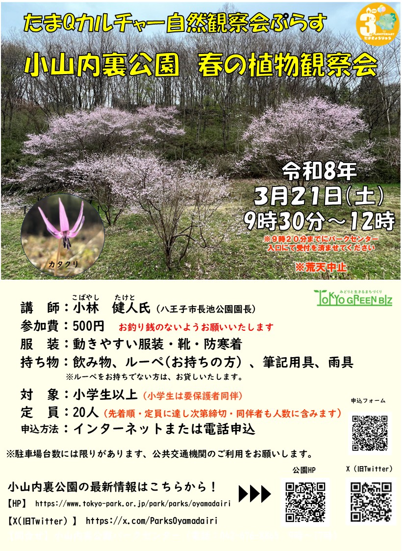 【formrun申込QR付き】春の植物観察会ポスター