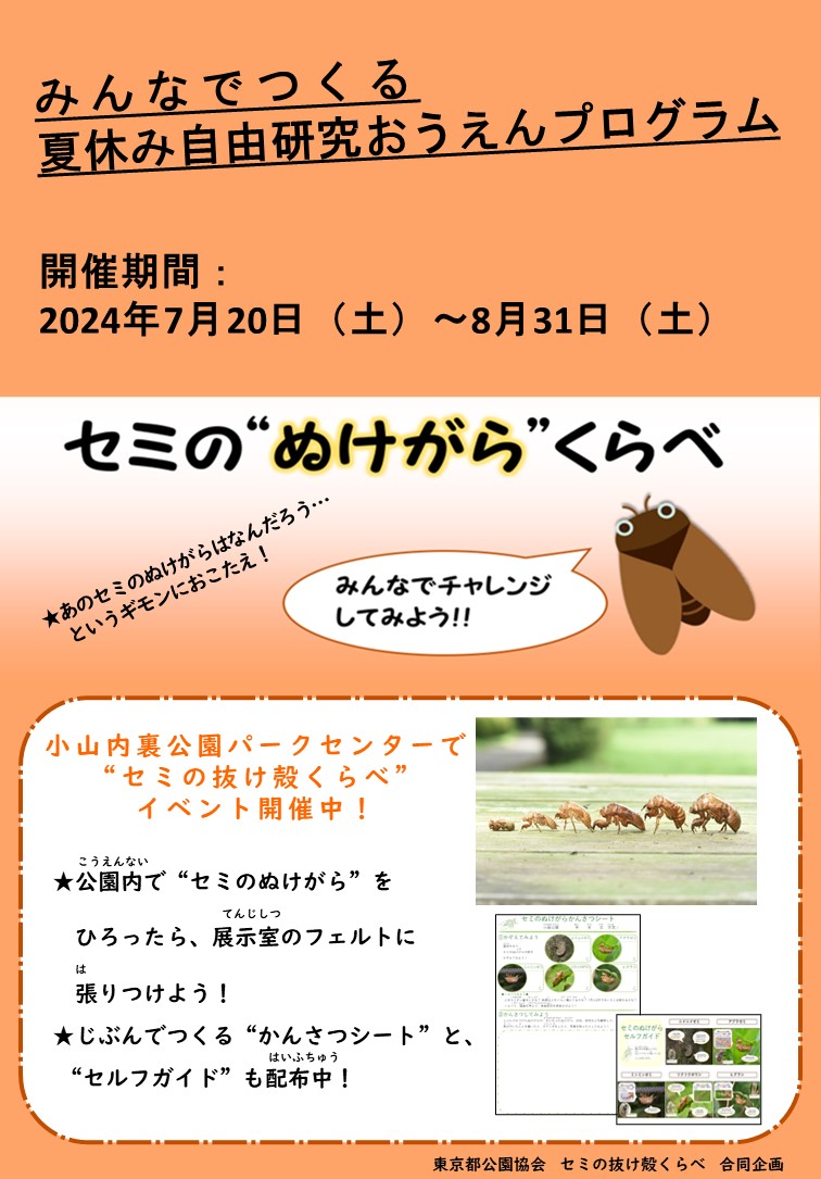 セミ抜け殻くらべ_チラシ