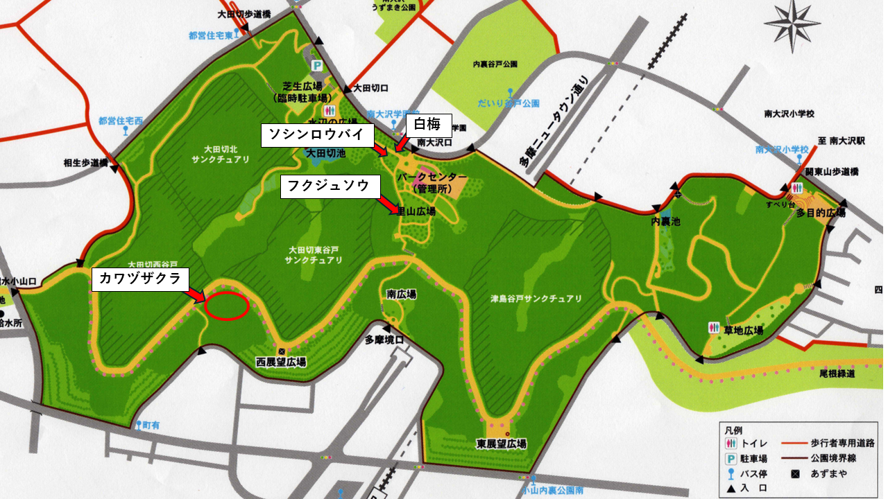 プレゼンテーション1