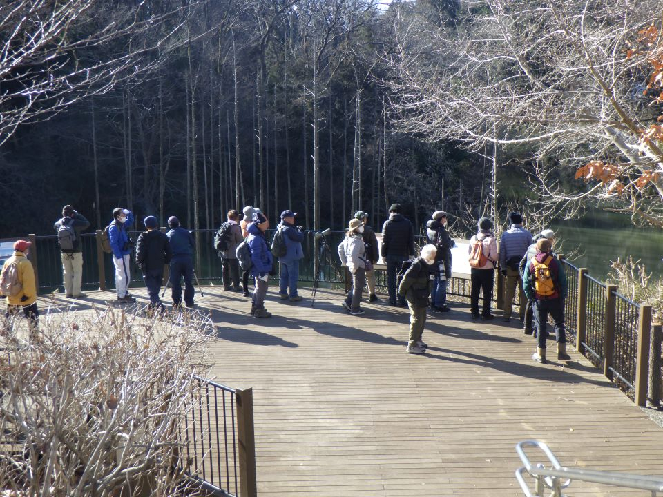小山内裏公園240211野鳥観察会大田切池