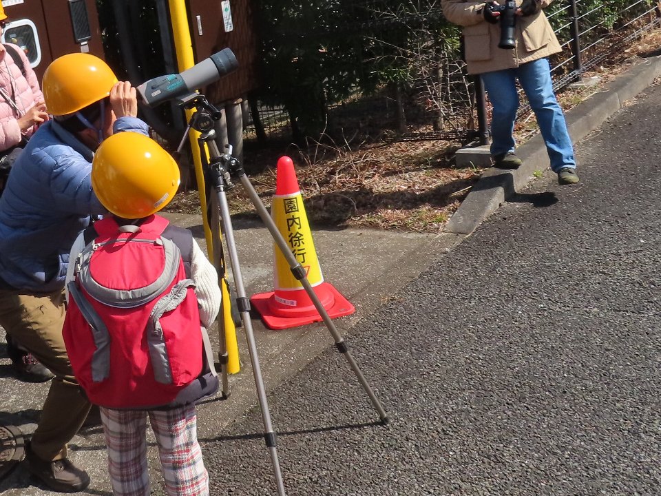 小山内裏公園240224オオタカの観察