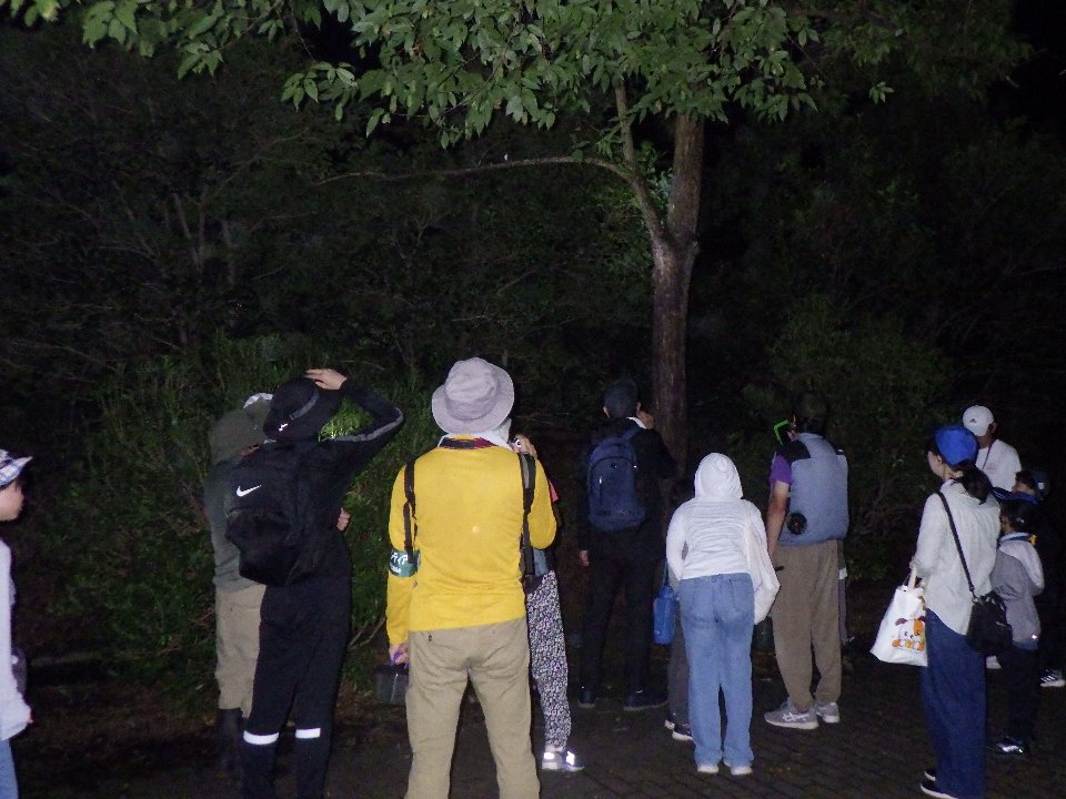 小山内裏公園240817サマーナイト