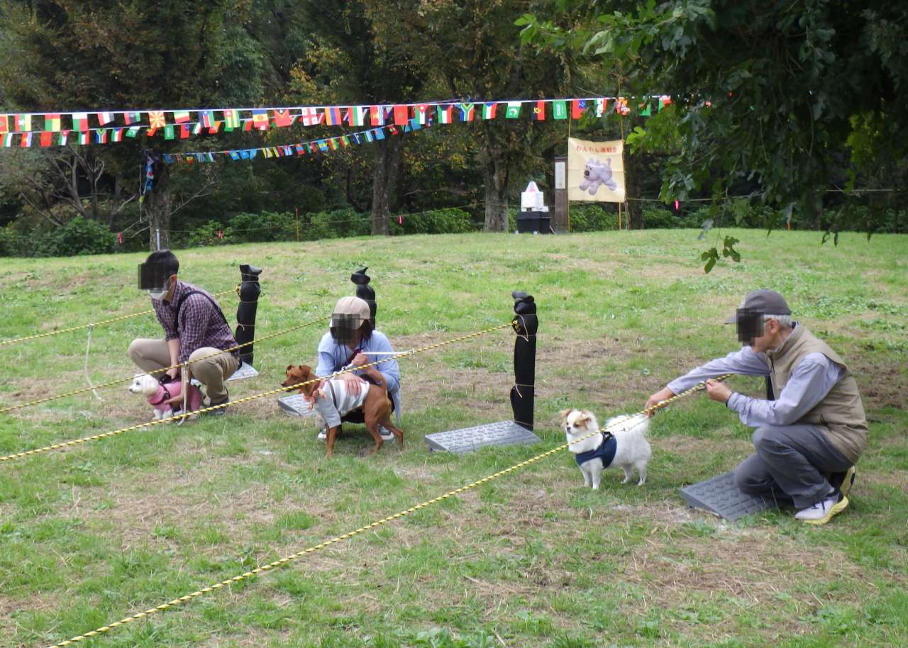 小山内裏公園241027わんわん運動会 (160)