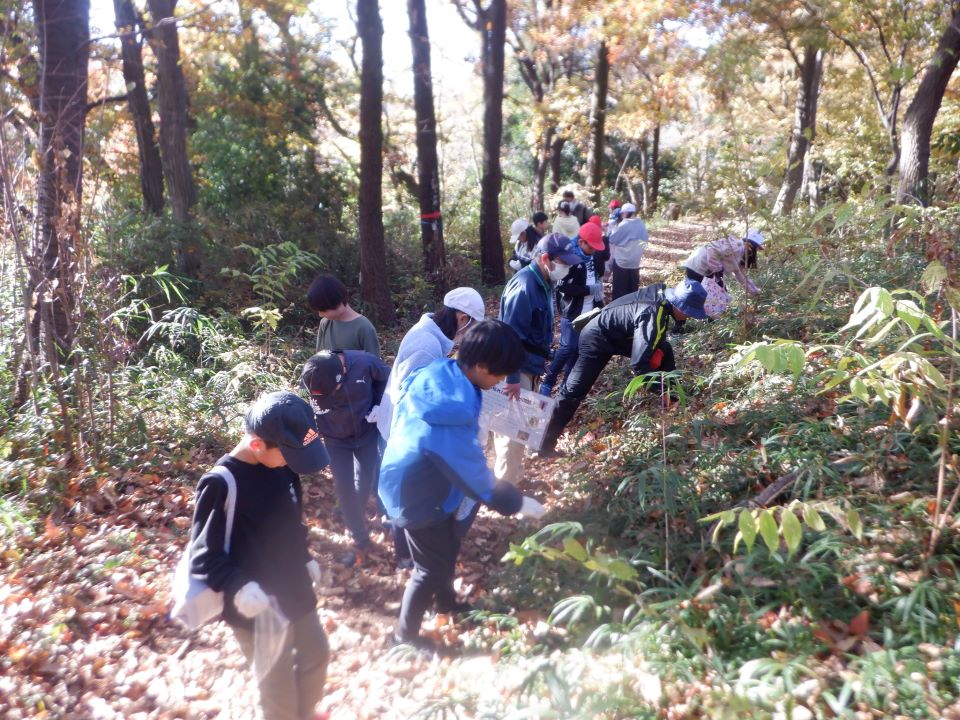 小山内裏公園241203南大沢小学校どんぐり拾い (13)